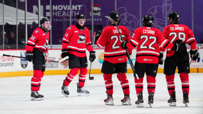 ‘Fun for us, too’: Charlotte Checkers advance to Atlantic Division Finals