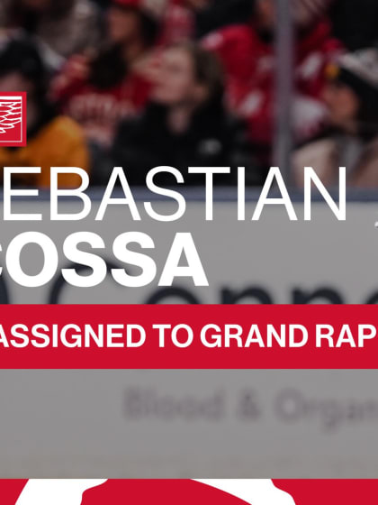 Red Wings assign Sebastian Cossa to Grand Rapids